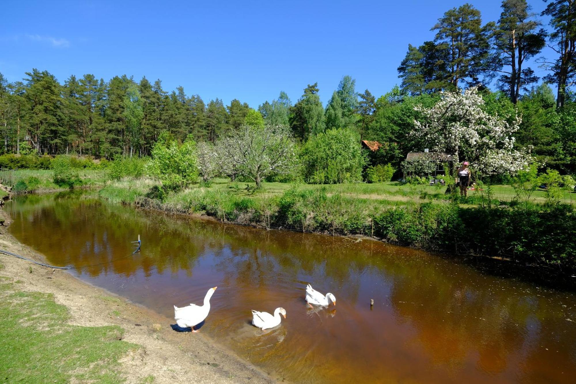 Kallaste Talu- Turismitalu & Ferienpark